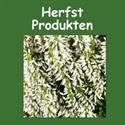 Herfst producten