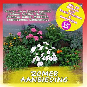 Bild von Zomeraanbieding P19 Diverse planten per CC